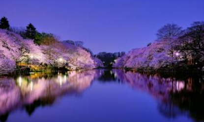 为何大阪房产租不如买？