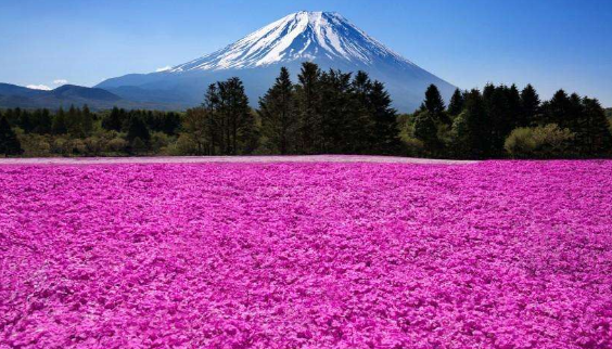 大阪房产投资之五区推荐