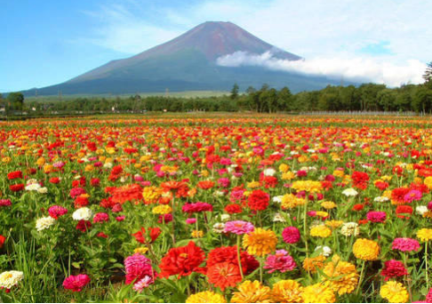 未来大阪房产均价是否具有增值空间？