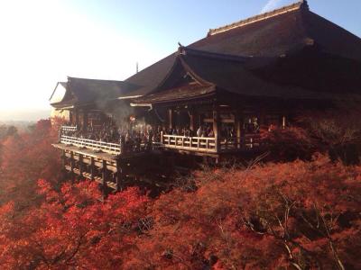 不要担心高房价，日本京都优选ラナップスクエ