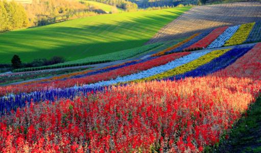 投资日本北海道房产如何办理房屋产权