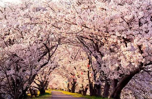 大阪租房不得不知道的几个小常识
