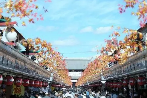 中国人为何投资北海道房产？盘点日本房产优势