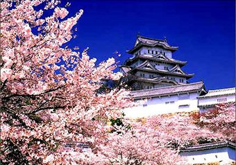 日本房地产若崩盘，中国会比日本惨得多