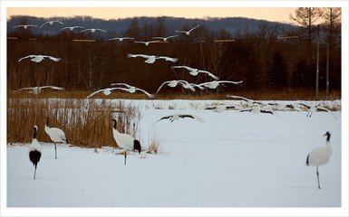 日本房产投资，抓紧机遇