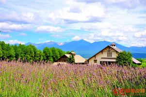 看看你家房价涨幅排世界第几？