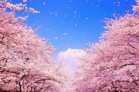 日本京都大学租房，生活在日本的真实感受（K