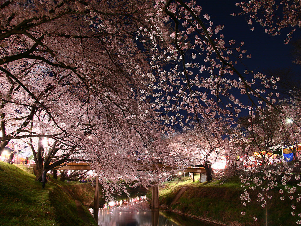 日本公布5大重点领域的成长策略草案