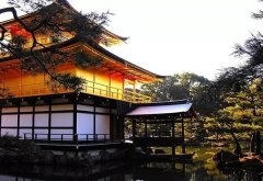 新手上路:日本买房基础知识科普 需要请自取！