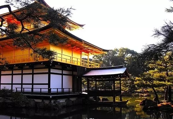 新手上路:日本买房基础知识科普 需要请自取！