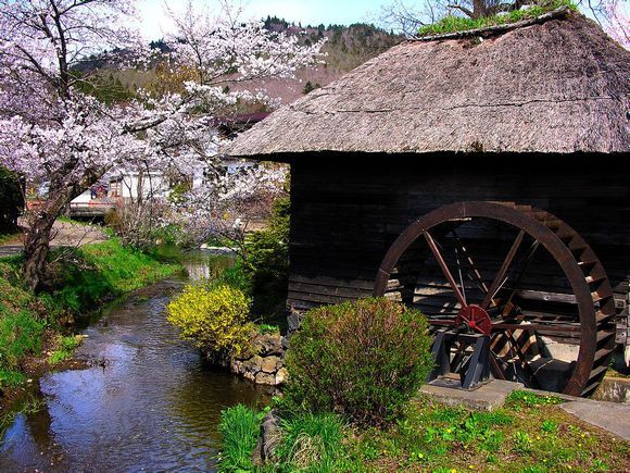为什么日本农村人好像很有钱，房子都像别墅