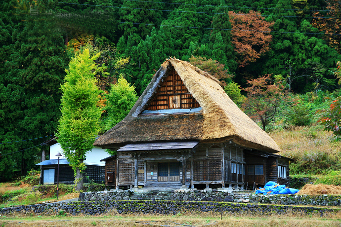 为什么日本农村人好像很有钱，房子都像别墅