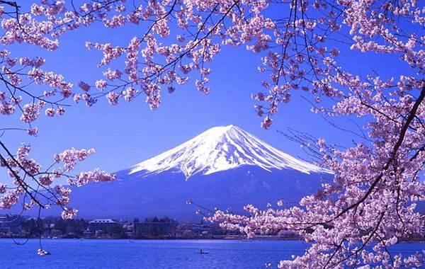 入管局将会对日本经营管理签证的审核做哪些调整？