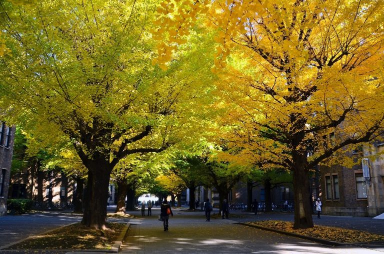 东京大学留学租房大科普