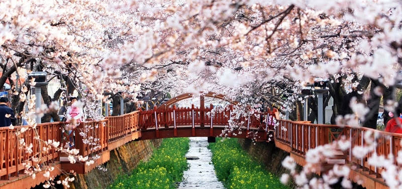 都和你有关!移民or永驻日本可享受哪些福利?