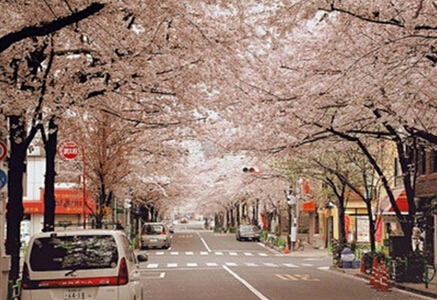 不在日本?怕地震?日本房产品质管理令你放心