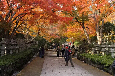 魅力太大！日本房产让人欲罢不能的6大理由