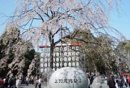 日本买房移民必知：银行贷款所需的手续超全详解！