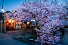 日本留学毕业申请工作签证 需要注意哪些？