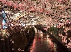 日本买房必看! 日本6种签证优缺点详尽大盘点