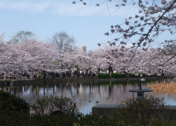 东京房价超值，东京台东区公寓火爆发售