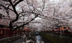 在日本买房要多少钱才是比较划算