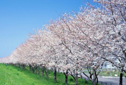 日本置业最全解读：教你秒看懂日本的房型图