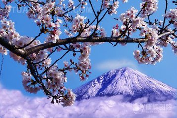 日本大坂房价多少钱一平投资潜力如何