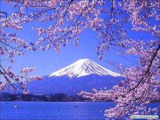 日本房地产公司哪家比较好