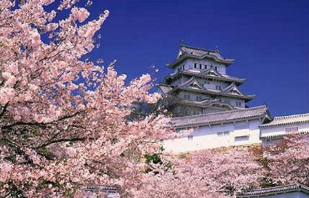 日本八王子房价：日本八王子房价不是那么贵