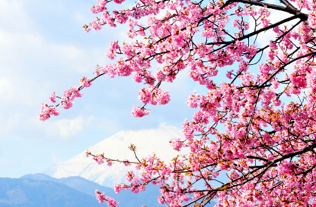 在日本买房需要全部付现金吗