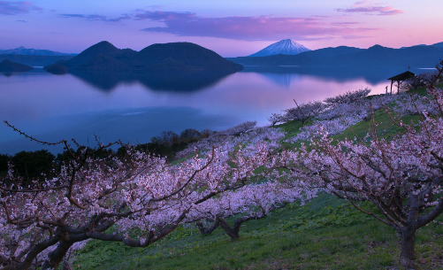在日本租房一定要慎重选择地点