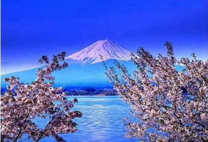 日本租房应该注意哪些问题