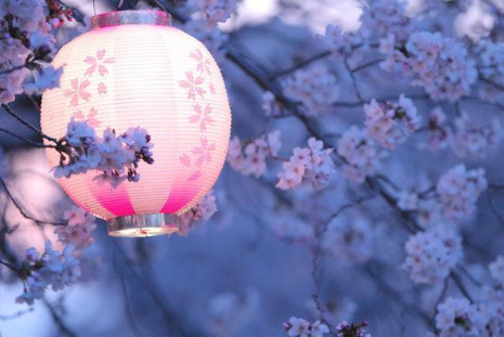 日本房价和中国房价的比较