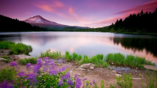 日本房价发展的历史