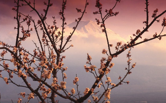 日本房价多少钱一平