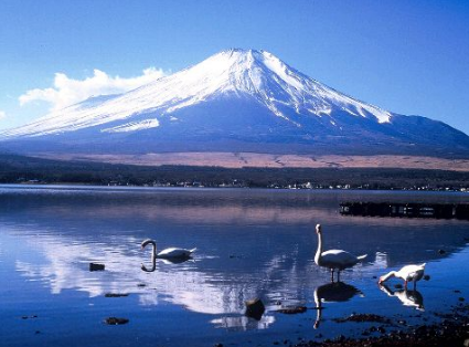 日本房产经纪人绝不会告诉你的几大秘密