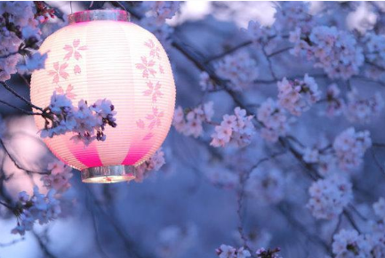 这么多人去日本购房原来是因为这里的房产产权