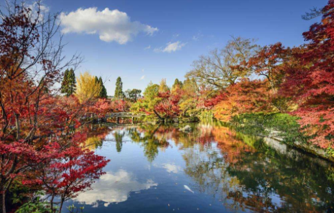 日本房产永久真的让大家赚到了吗