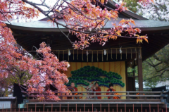 首次在日本投资房产这些实用技巧一定要知道