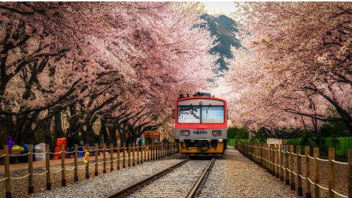 日本租房其实际是投资行为