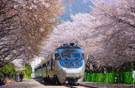 在日本投资房产了解当前破碎的房产经济