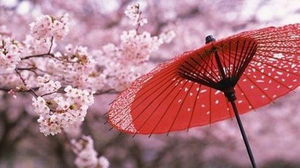 华人在日本买房子主要以投资为目的