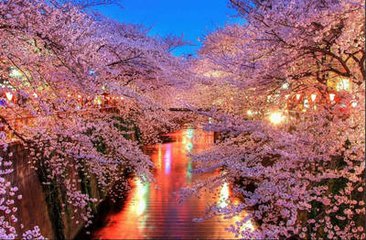 在这里购房得先知道日本房产信息