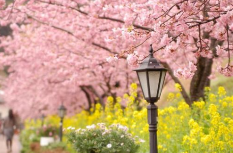 如何购买日本房产有哪些注意事项