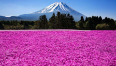 日本别墅与美国别墅在价格上有什么区别