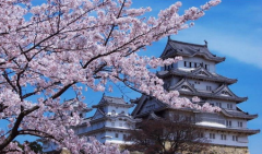 赴日本买房需要满足的条件你知道吗