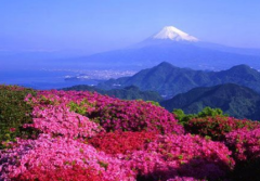 日本东京买房的基本流程