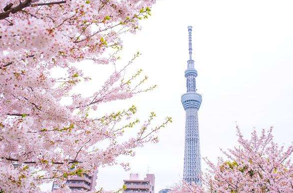 带你了解在日本买房的整个流程