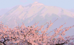 在日本买房该选择哪些区域